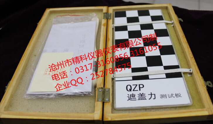 遮盖力测试版QZP
