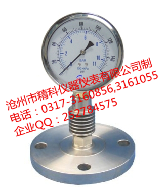 隔膜式压力仪表.png